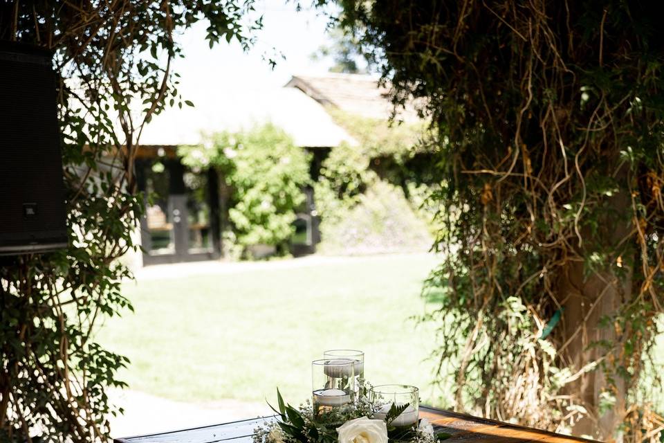 Modern Magnolia Events Co.