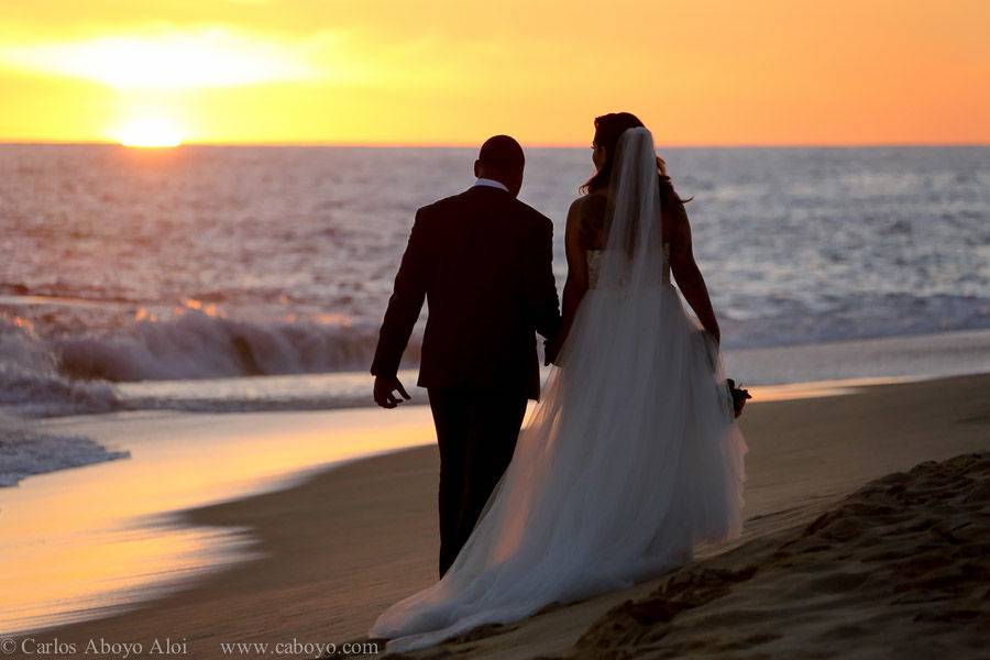 Cabo Beach Weddings