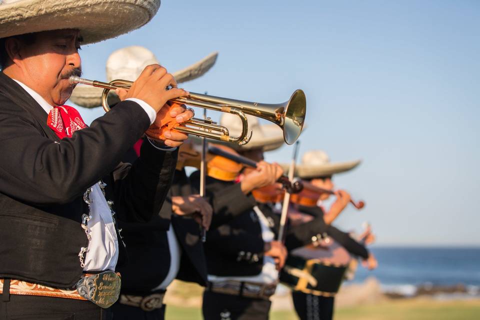 Cabo Beach Weddings