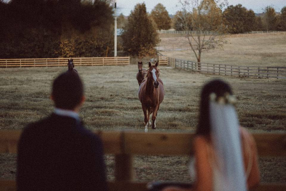 Post-Ceremony