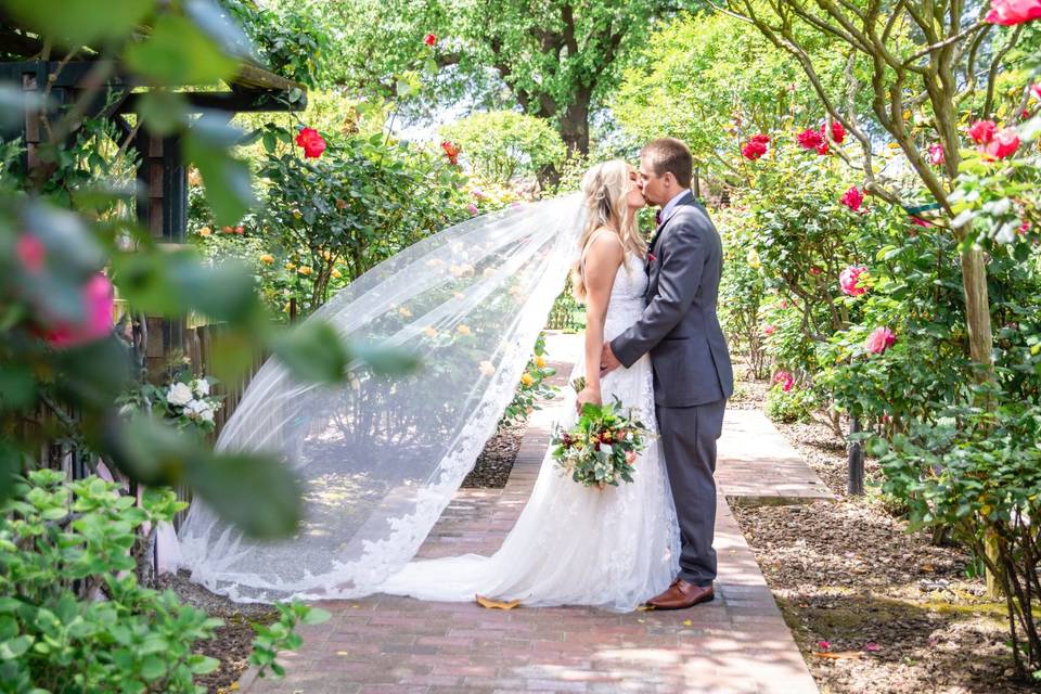 In the garden - Ashlyn Coleal Photography