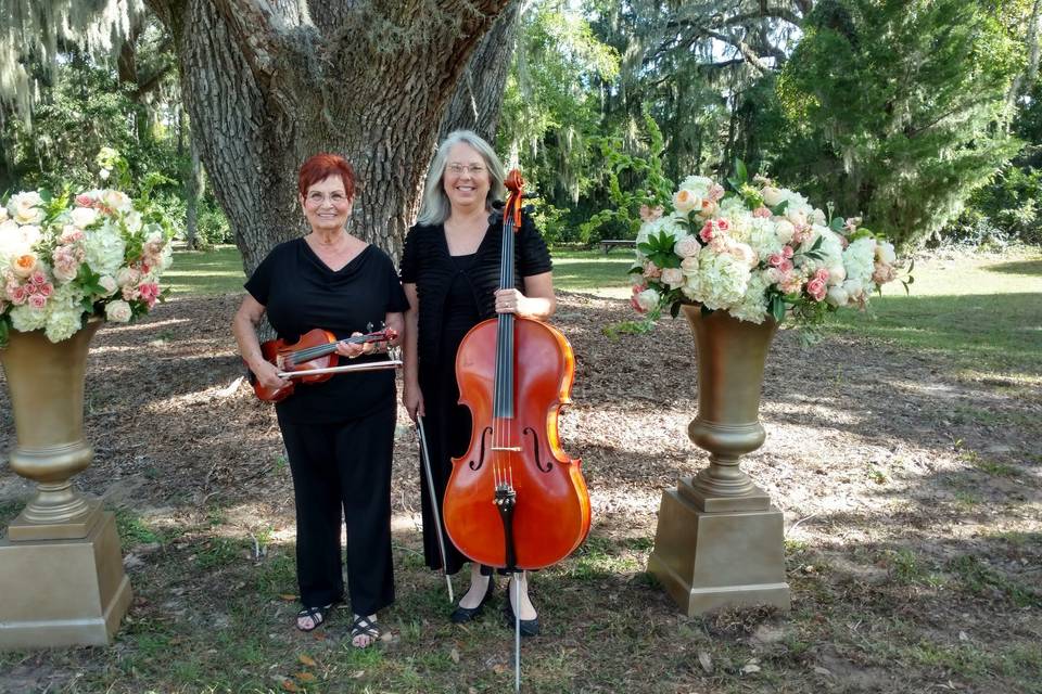 String musicians