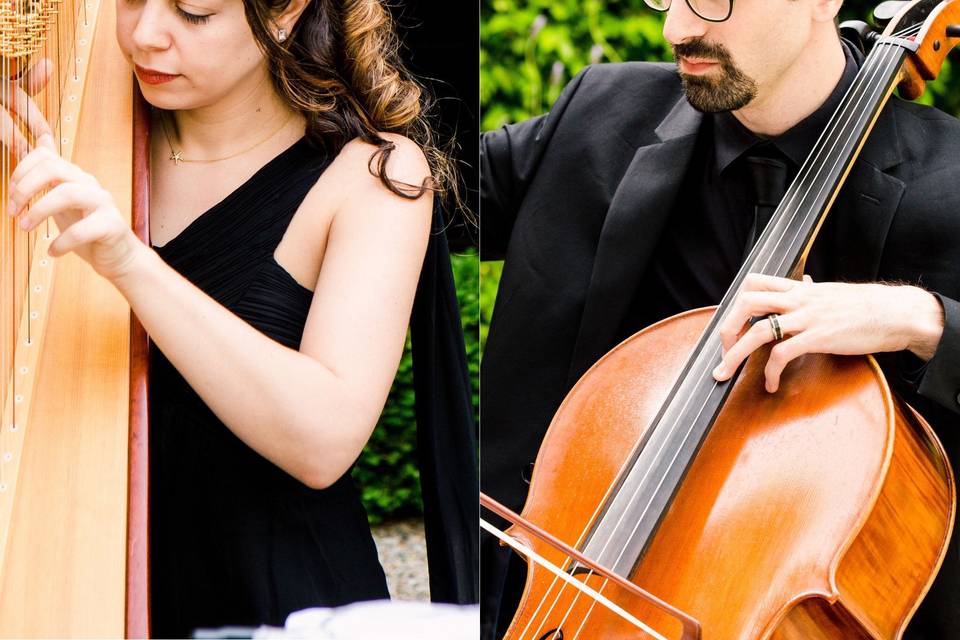 Lily Press, Harp & Simon Linn-Gerstein, Cello