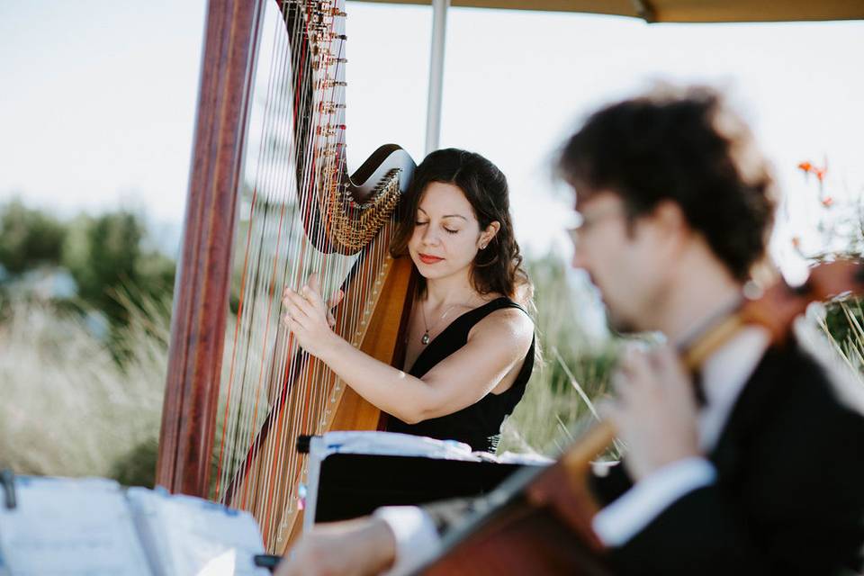 Lily, harp & Simon, cello