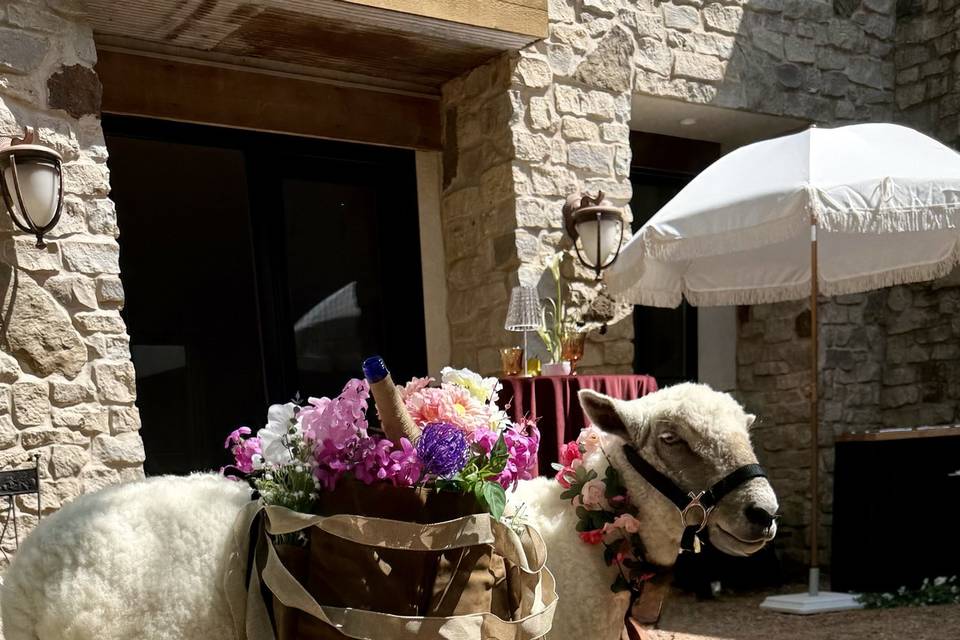 Flowers, bottles, swag