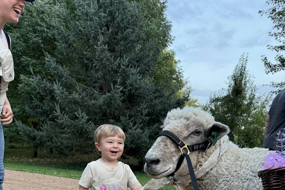 Happiness is...