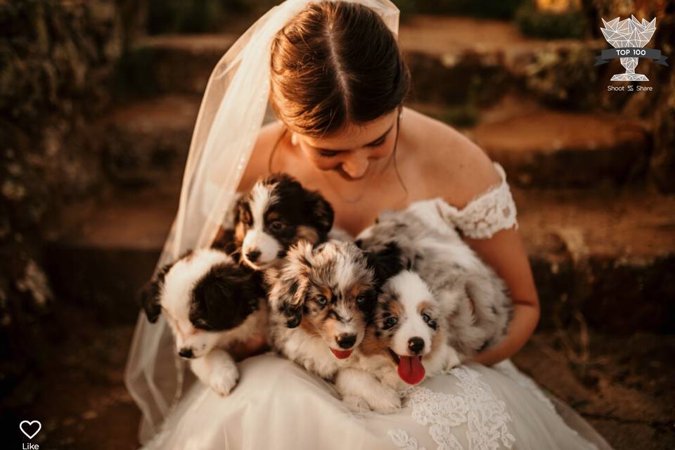 Bride & Puppies