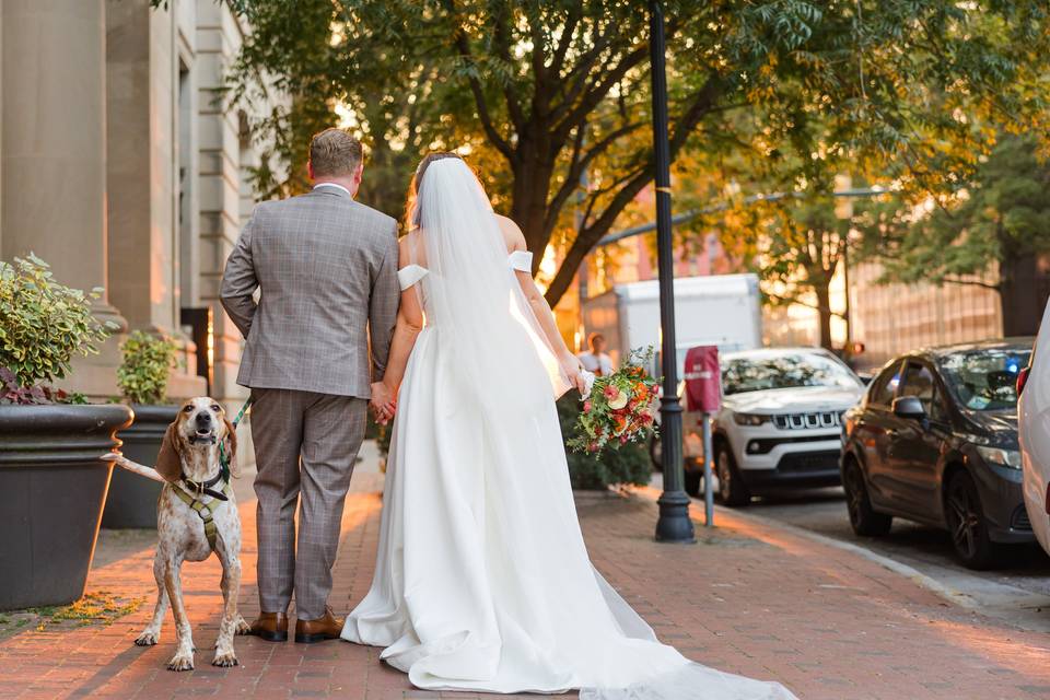 Pups Encouraged!