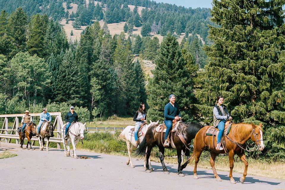 Horseback riding