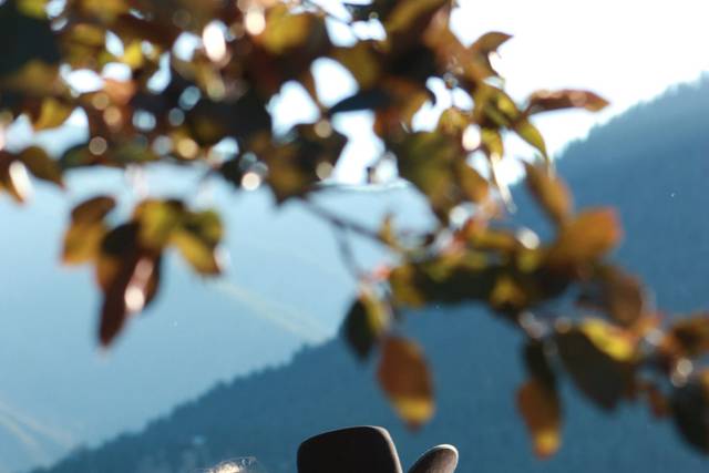 Enchantment Photography