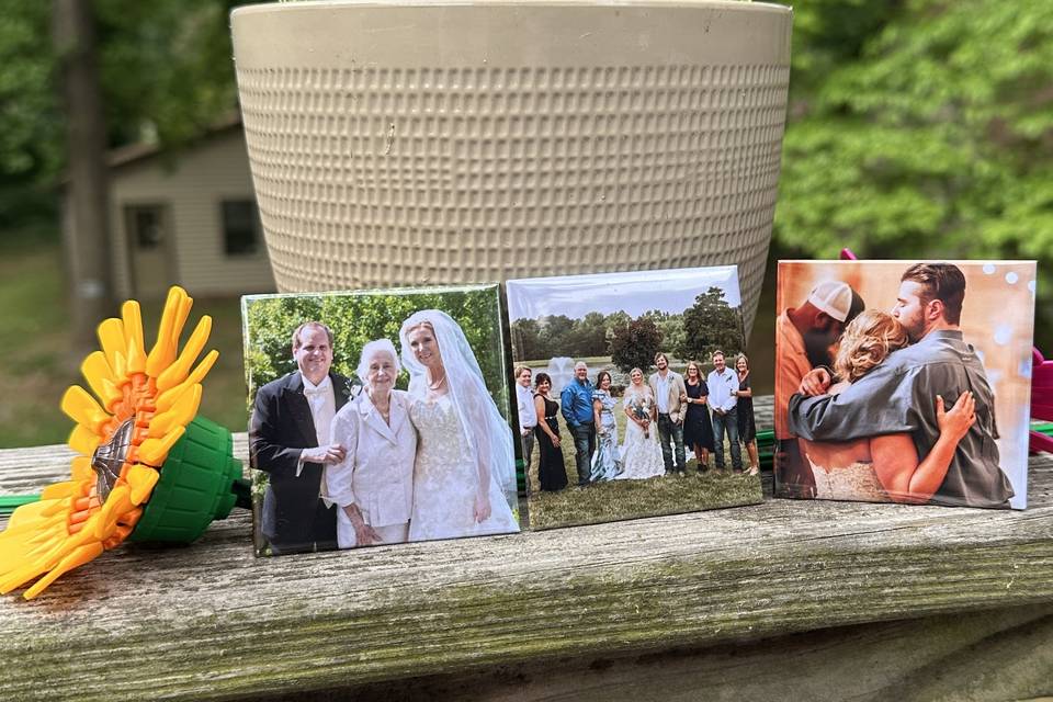 Family photos