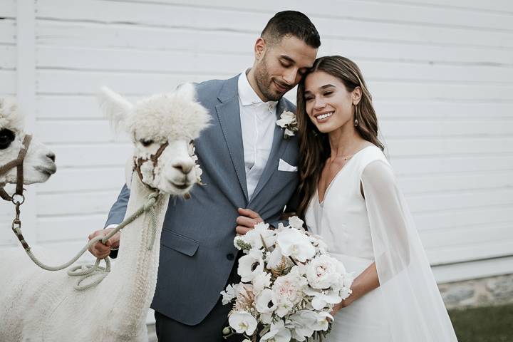 Alpaca ceremony