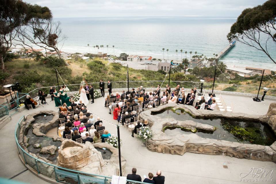 Birch Aquarium at Scripps Photo Gallery, La Jolla Venue