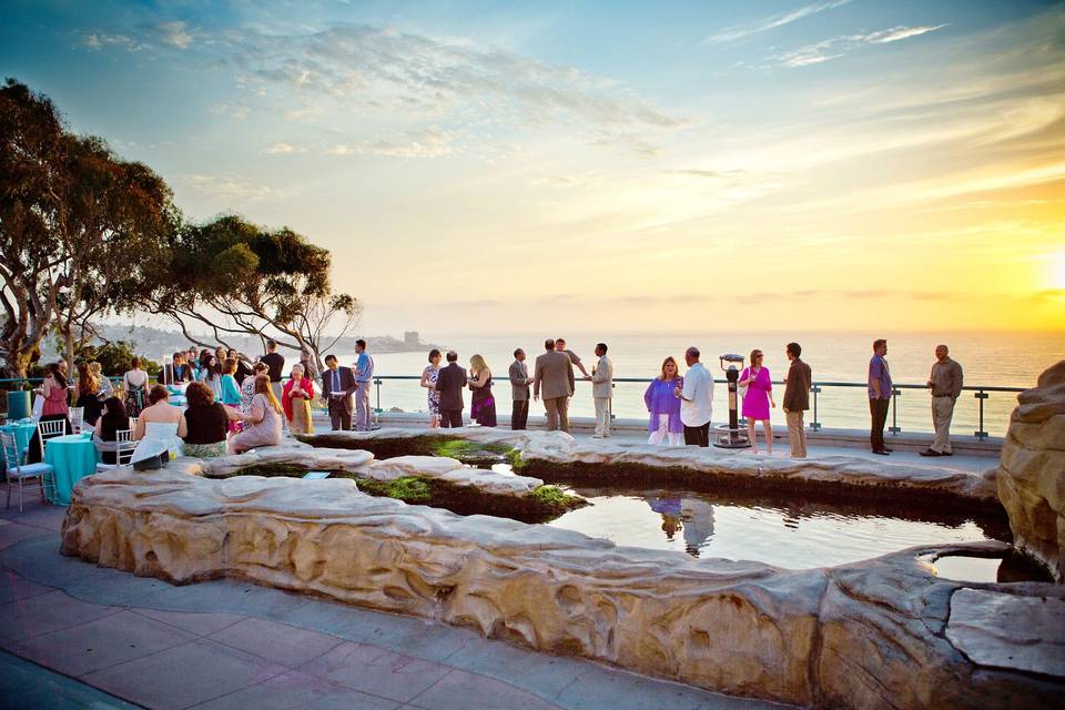 Cocktails at Sunset