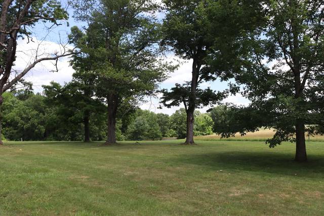 Field