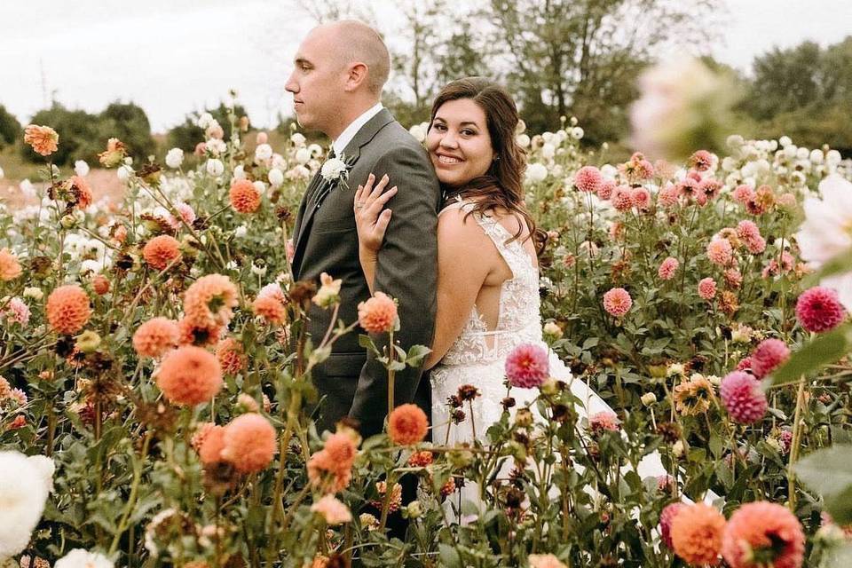 The dahlia garden