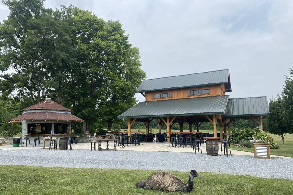 Barn view with 