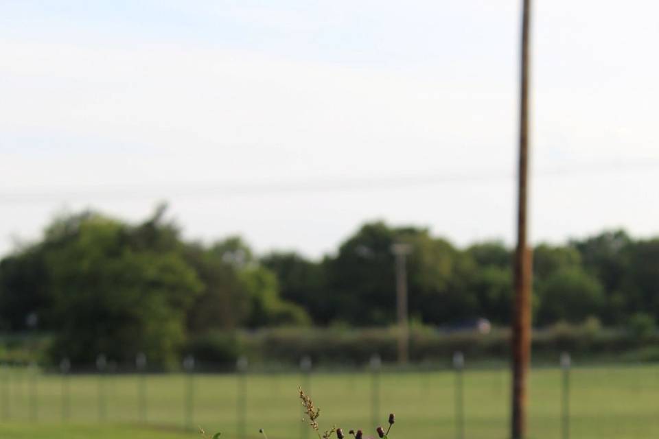 IMG_7899.JPG