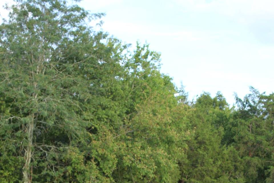 IMG_7956.JPG