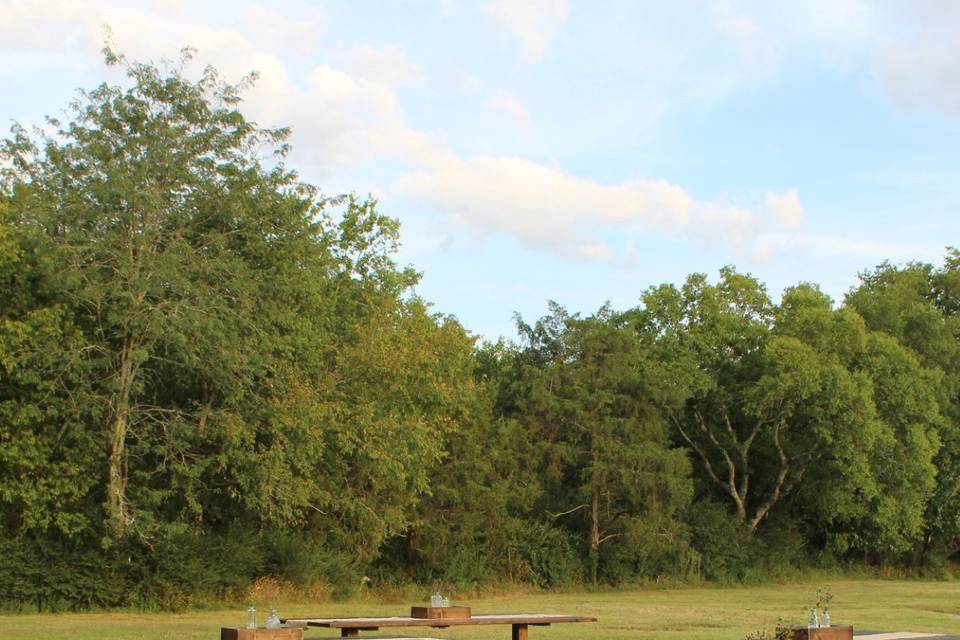 IMG_7993.JPG