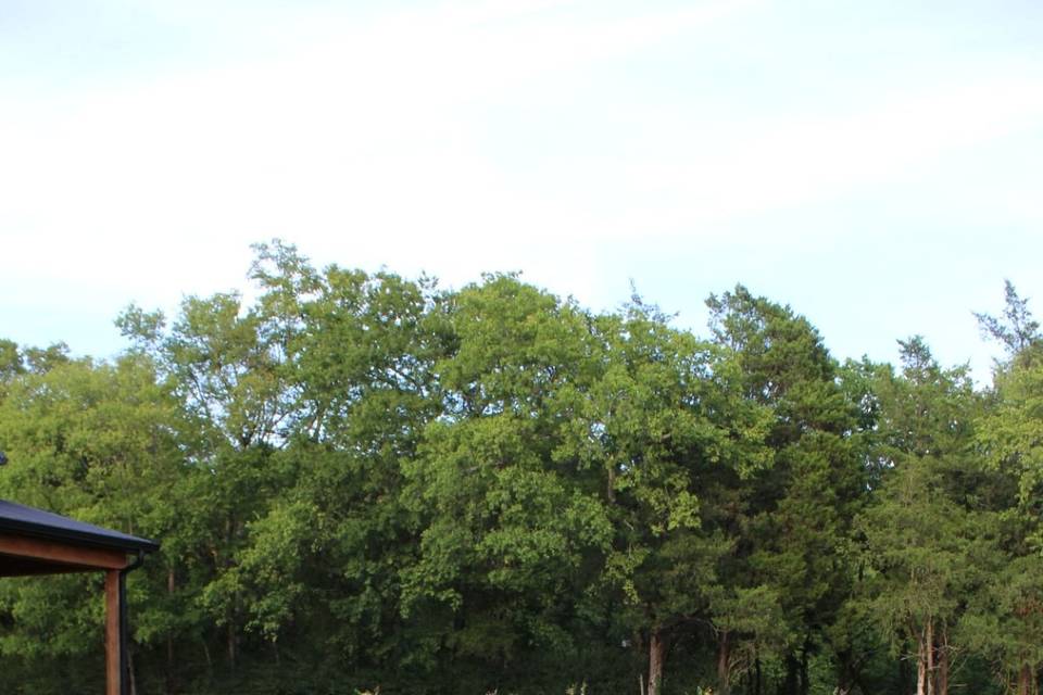 IMG_8002.JPG