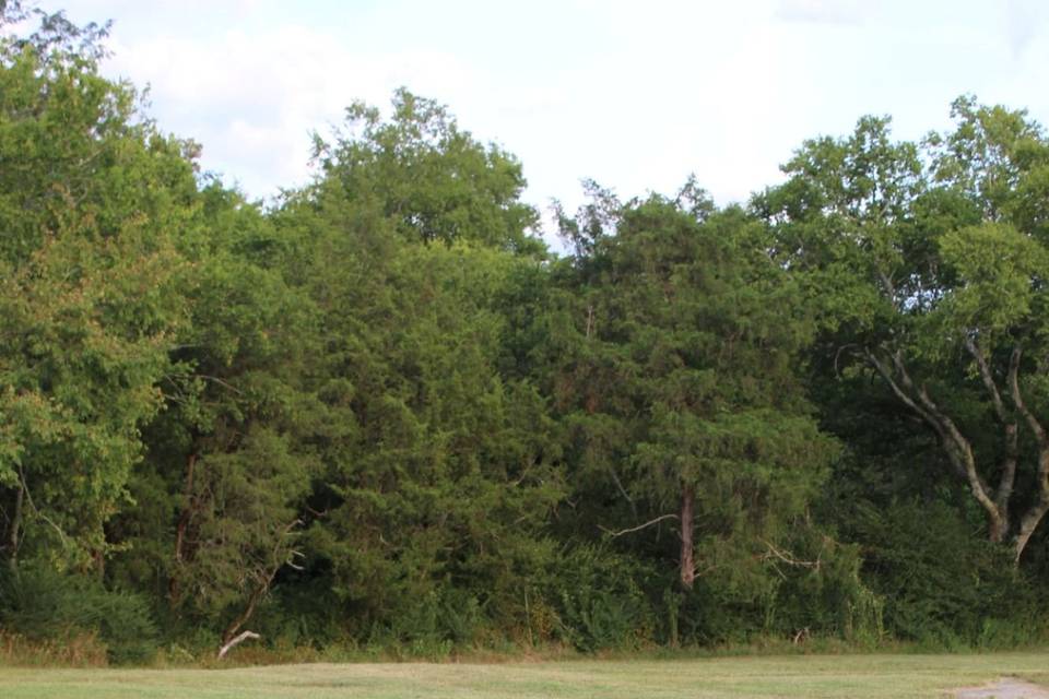 IMG_8005.JPG