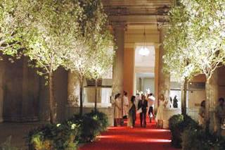 Red Carpet Revolution