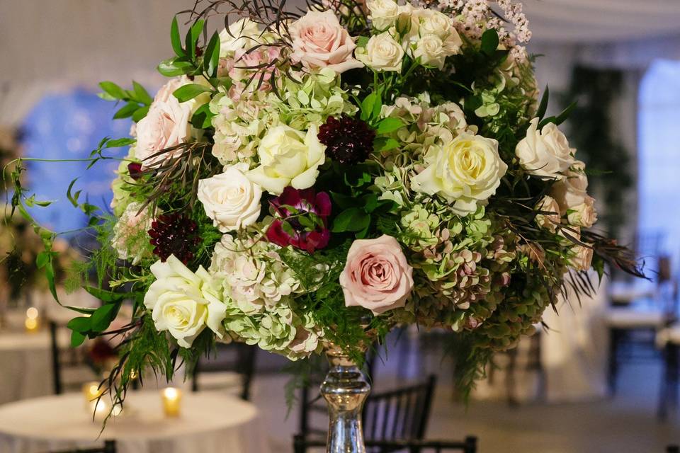 Kim Starr Wise Floral Events