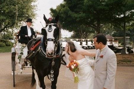 Belle Starre Carriages