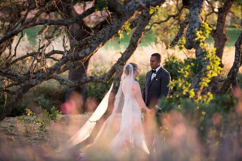 Meadow Wedding Photo