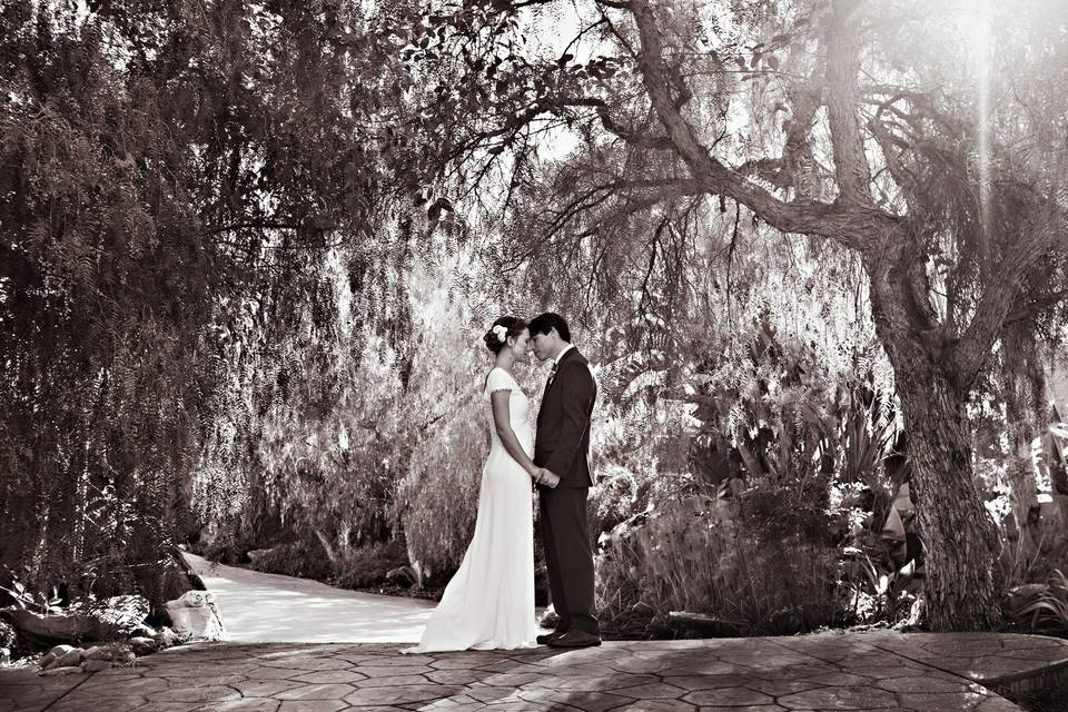 Micah Cummings Photography