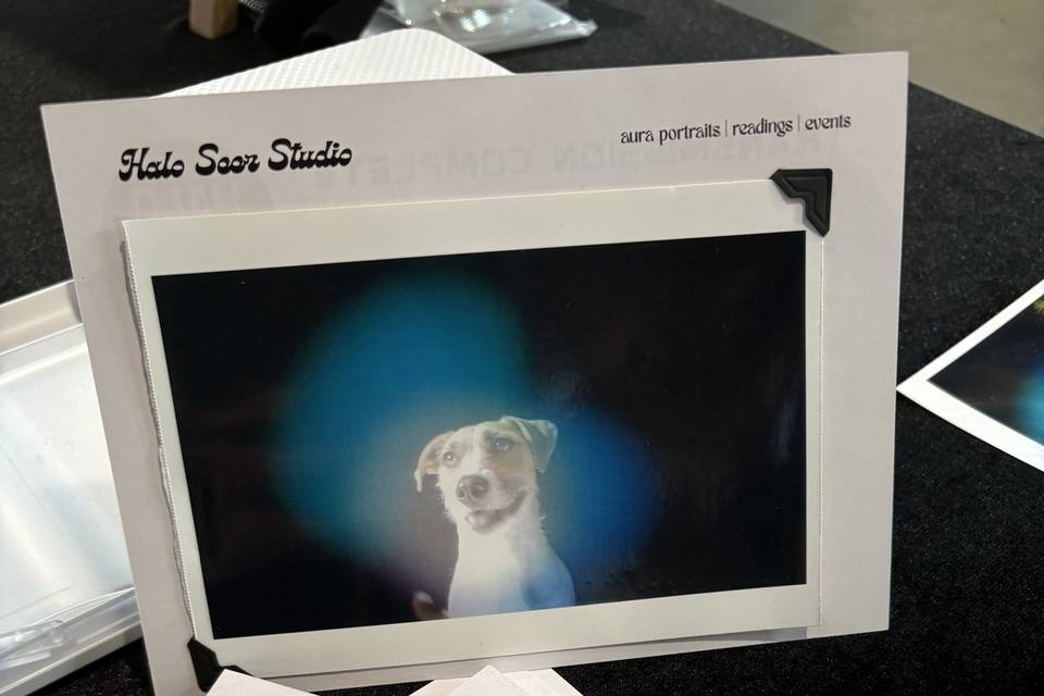Halo Seer Studio