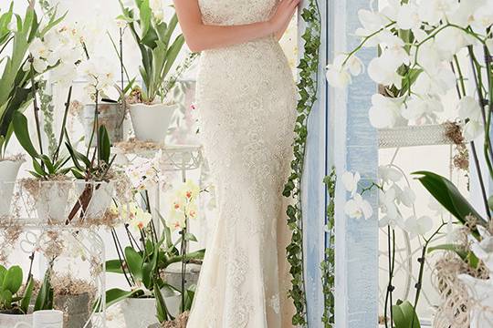 Mori Lee