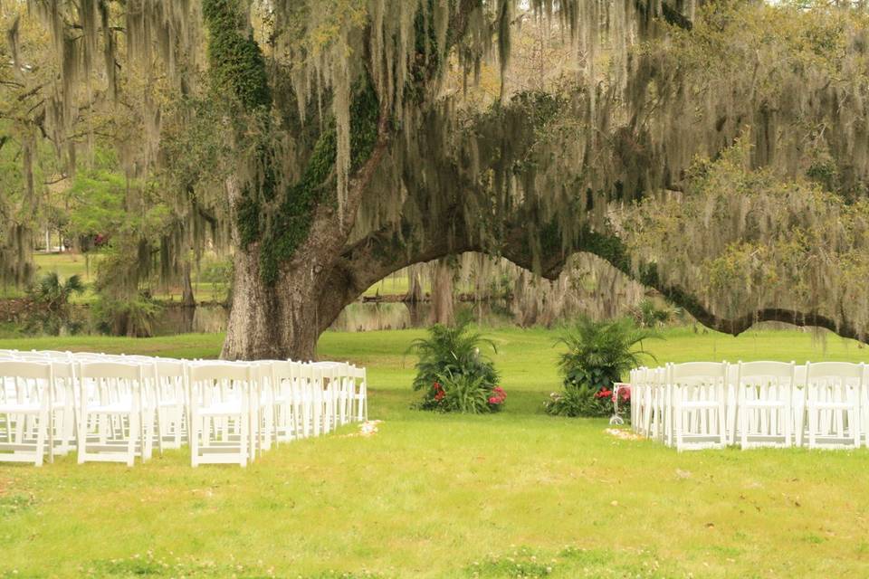 Ceremony site