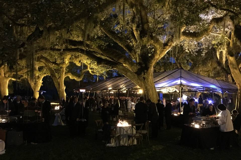Reception by the tree