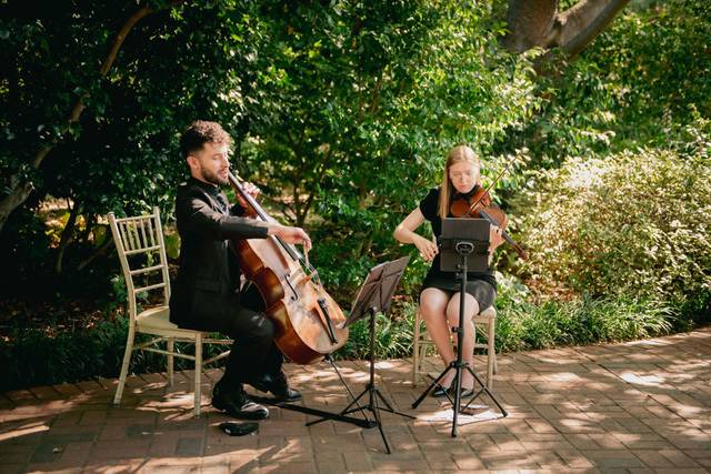 Mosaic Strings