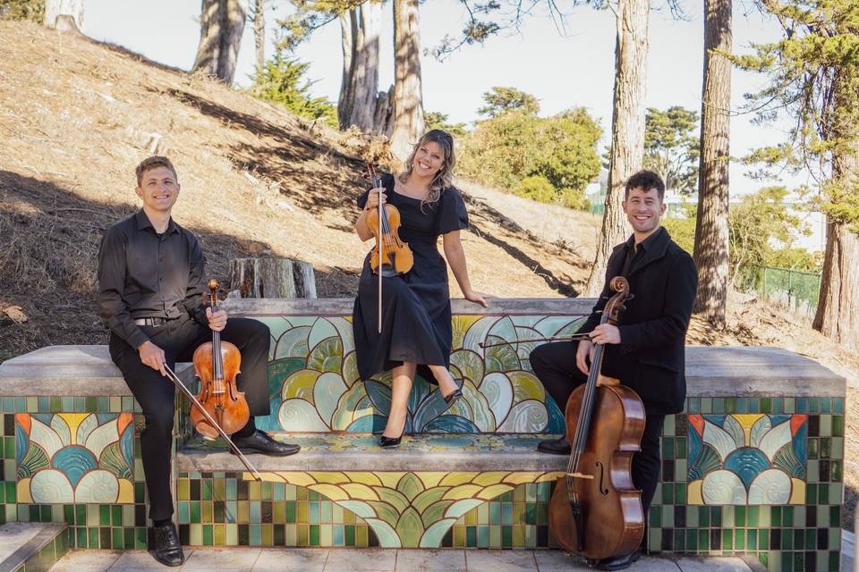 Mosaic Strings