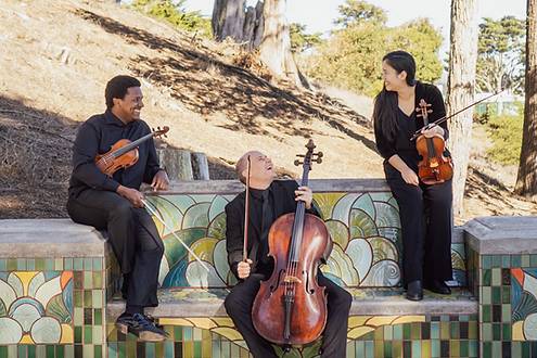 Mosaic Strings