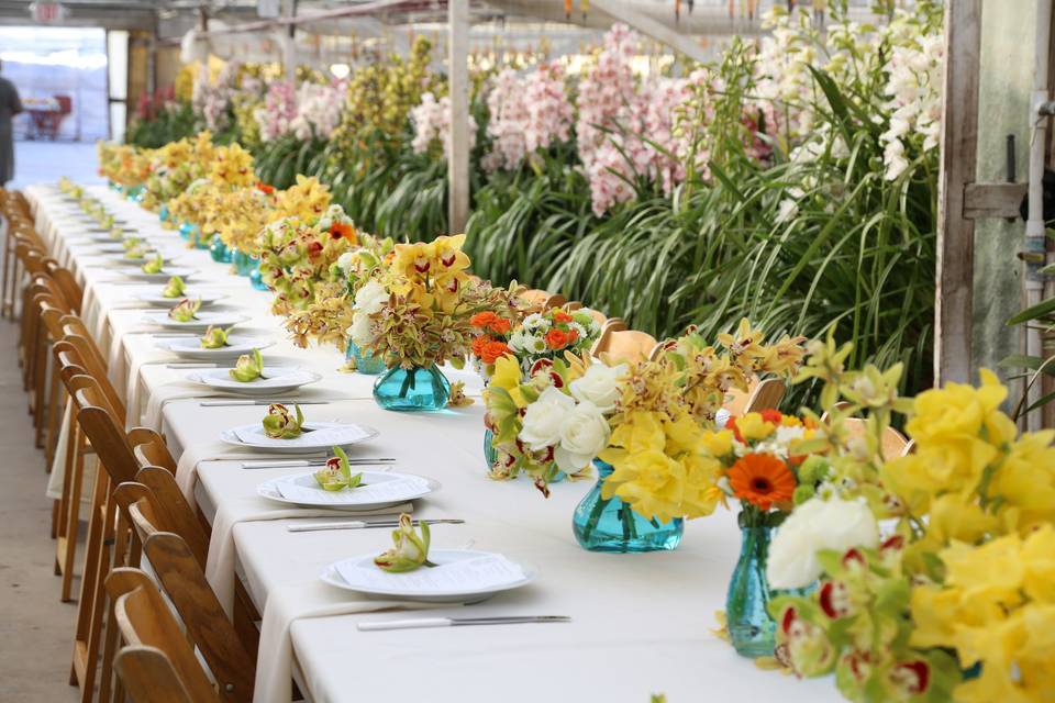 Extra long farm style table for a Field to Vase dinner
