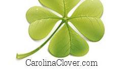 Carolina Clover Jewelry and Gifts