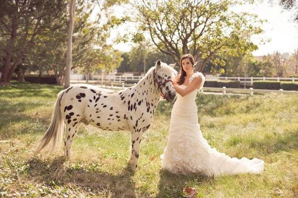 Brandi Welles Photographer