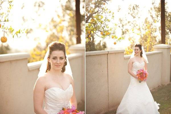 Brandi Welles Photographer