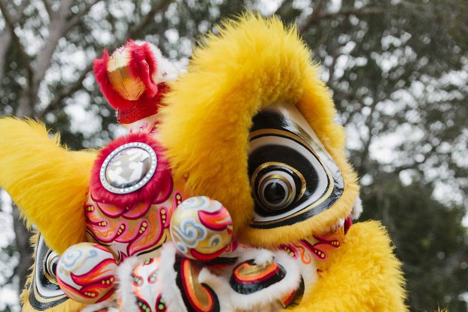 Lion dancers