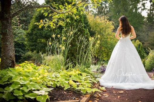 Photopher Photography