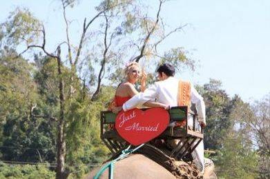 Elephant ride on wedding day.