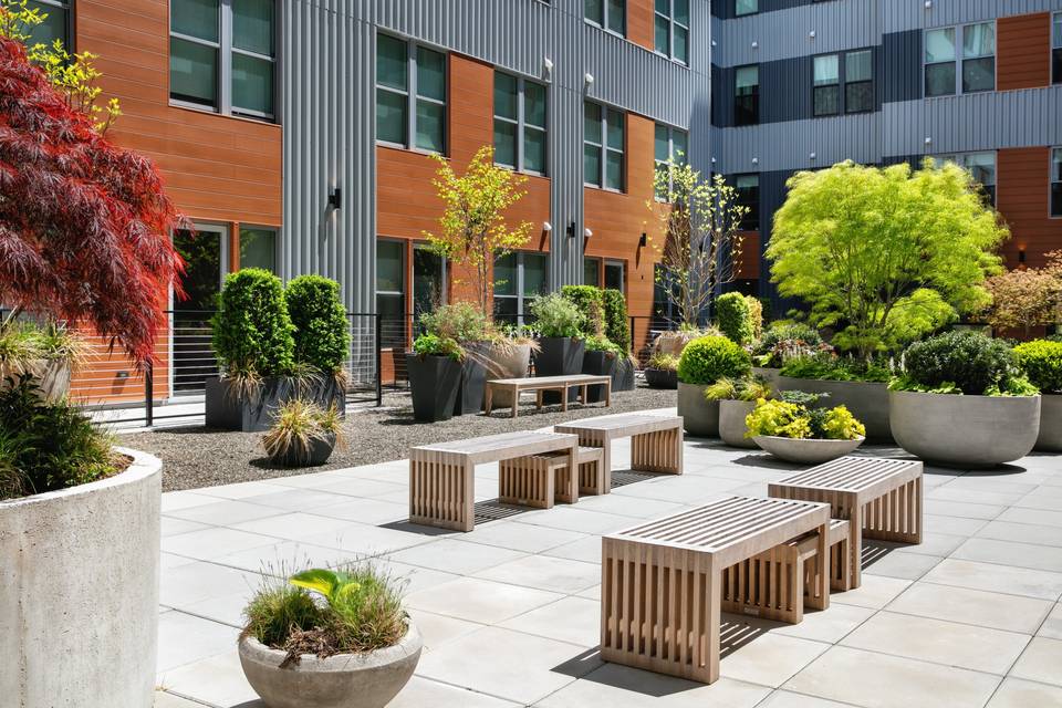 Outdoor Zen garden