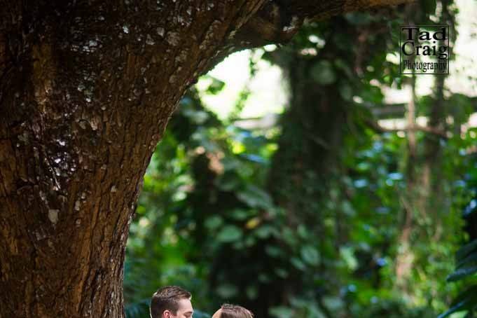 Gorgeous Maui Romance