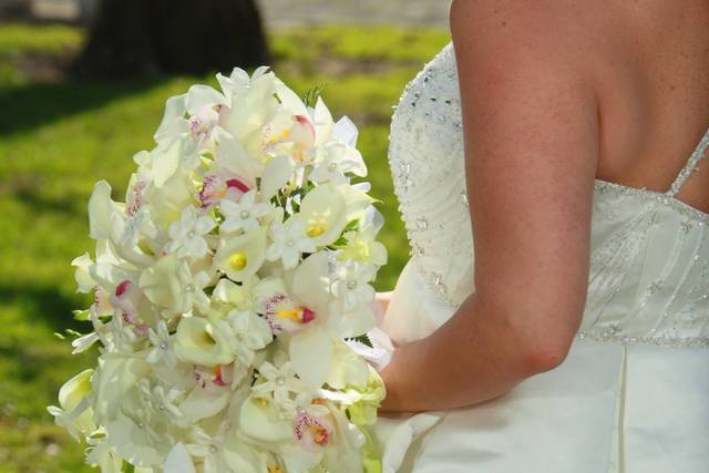 Dragonetti/Mill Lane Florist + Garden Center