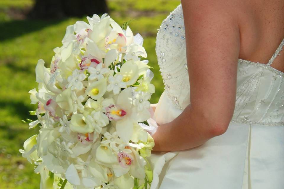 Dragonetti/Mill Lane Florist + Garden Center