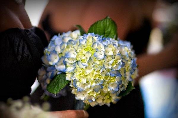 Simplicity Floral